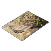 クルーガー国立公園（南アフリカ） ノートブック (左側)