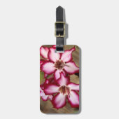 クルーガー·インパラ·リリー（アデニウム·マルチフロラム） ラゲッジタグ (正面縦)