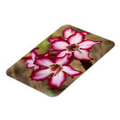 クルーガー・インパラ・リリー マグネット (左側)