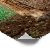 クルーガー・ナショナルの道路上のキリンのペア ポスター (角)