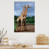 クルーガー・ナショナルの道路上のキリンのペア ポスター (キッチン)
