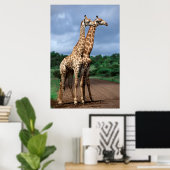 クルーガー・ナショナルの道路上のキリンのペア ポスター (ホームオフィス)