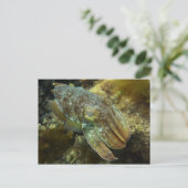 クルージングの巨大なオーストラリアのイカのはがき ポストカード (スタンド正面)