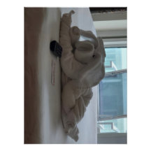 クルージング豚タオル動物ペット