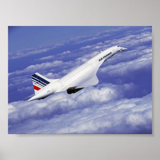 クルージング ポスター (正面)