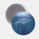 クルージング マグネット (正面/裏面)