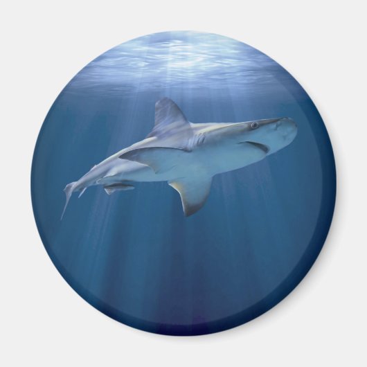 クルージング マグネット (正面)