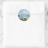 クルーズシップアットコケイ ラウンドシール (バッグ)