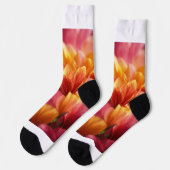 クルーソックス ソックス (左)