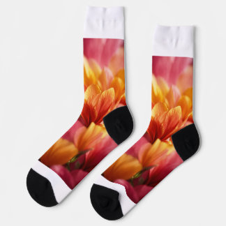 クルーソックス ソックス