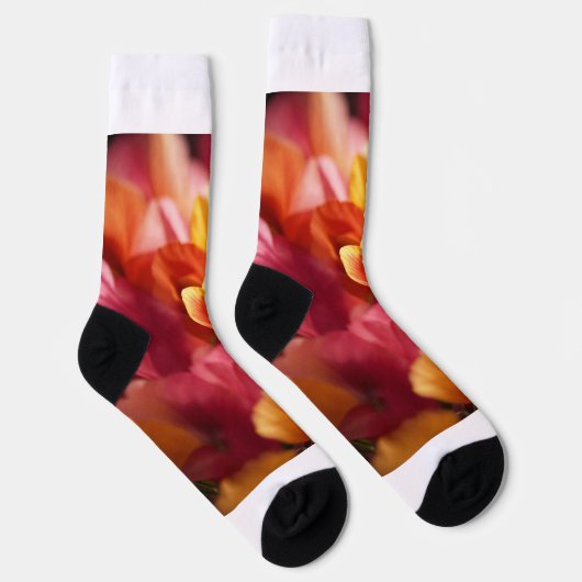 クルーソックス ソックス (右)