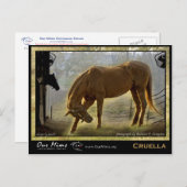 クルーラポストカード ポストカード (正面/裏面)