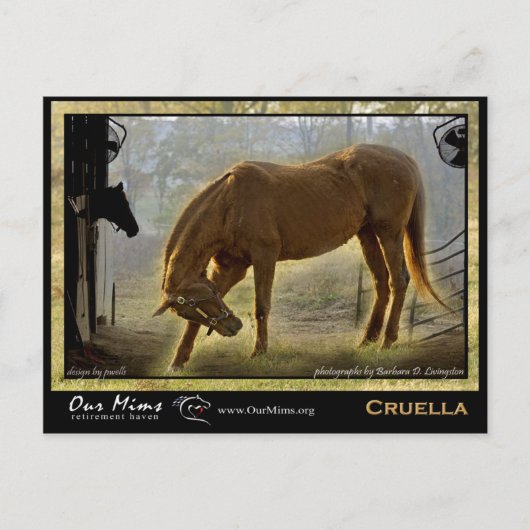 クルーラポストカード ポストカード (正面)