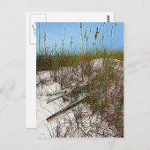 クレアウォーター ビーチ フロリダ アート ギフト ポストカード (正面/裏面)