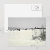 クレアビーチのポストカード ポストカード (正面/裏面)