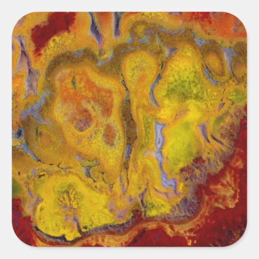 クレイオラジャスパー スクエアシール (正面)