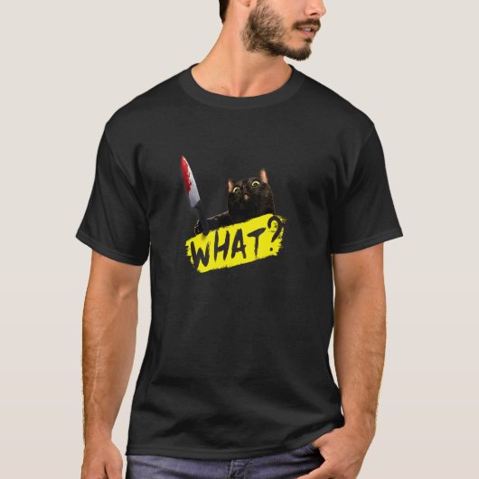 クレイジーキャット何 Tシャツ (正面)