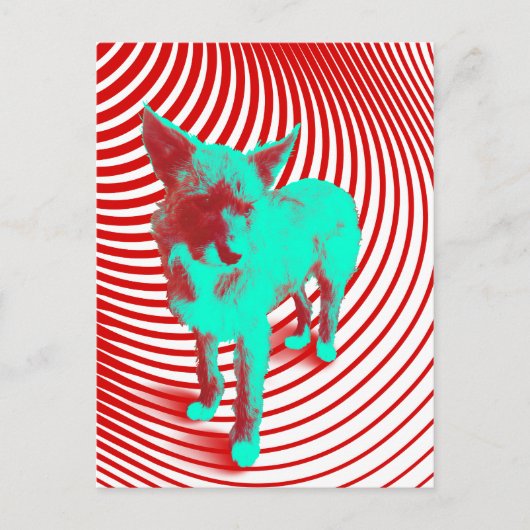 クレイジーハズーパップス ポストカード (正面)