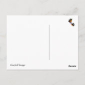 クレイジーレイジーデイズ サマー ポストカード (裏面)