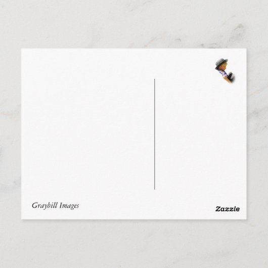 クレイジーレイジーデイズ サマー ポストカード (裏面)