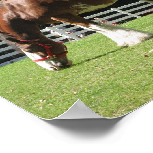 クレイデールのポスター ポスター (角)