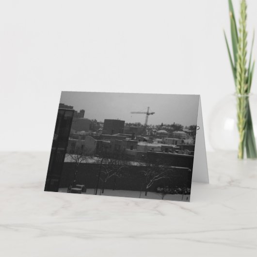 「クレインフリーズ」お見舞いカード カード (正面)