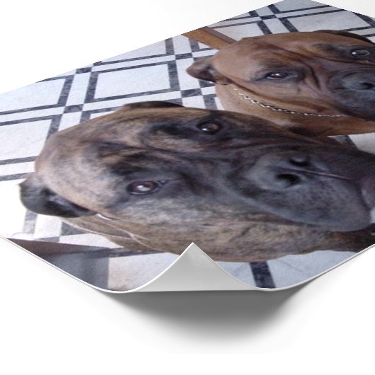 クレオとルナ ポスター (角)