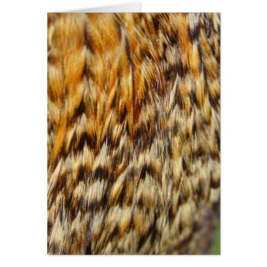 クレオールチキンの羽 (正面)