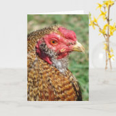 クレオールルースターすべての行事 カード (黄色い花)