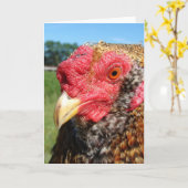 クレオール・ルースター カード (黄色い花)