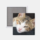 クレオ・キャット・マグネット マグネット (正面/裏面)