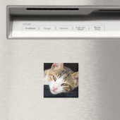 クレオ・キャット・マグネット マグネット (インサイチュ (食洗機))