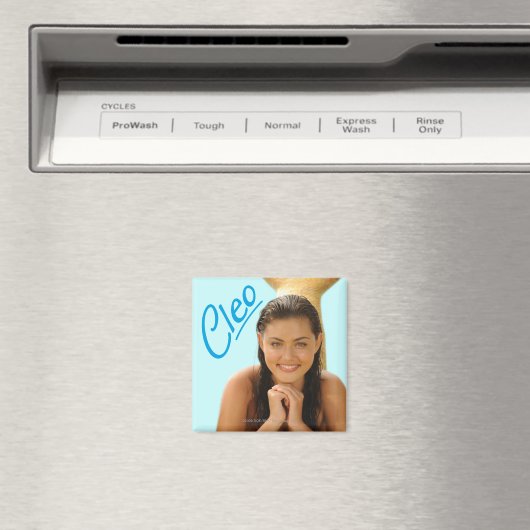 クレオ マグネット (インサイチュ (食洗機))