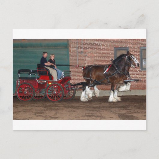 クレジデレスカート ポストカード (正面)