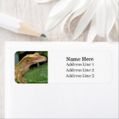 クレステッドジェッコリザード差出人住所 ラベル (インサイチュ)