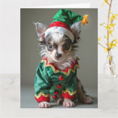 クレステッド中国の小妖精や小人子犬クリスマスカード カード (黄色い花)