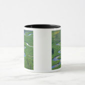 クレステッド·バットの町の近くにある東の川。 マグカップ (中央)