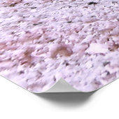 クレステッド・ブレニー ポスター (角)