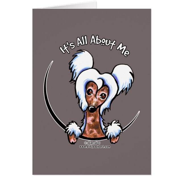 クレステ中国のッドIAAM (正面)