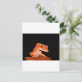 クレストジェッコ ポストカード (スタンド正面)