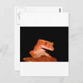 クレストジェッコ ポストカード (正面/裏面)