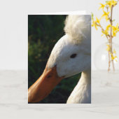 クレストダック カード (黄色い花)