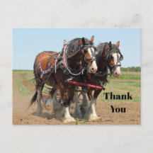 クレズデール農場写真ありがとうございます