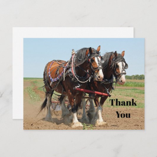 クレズデール農場写真ありがとうございます ポストカード (正面/裏面)