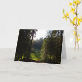 クレセントメドウモーニングアットセコイア国立公園 カード (黄色い花)