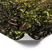 クレセント湖 ポスター (角)