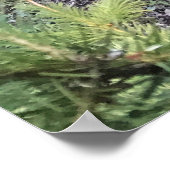 クレセント・クリーク、オレゴン州 ポスター (角)