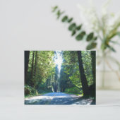 クレセント・シティの森をドライブ ポストカード (スタンド正面)