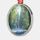 クレセント・シティの森をドライブ メタルオーナメント (左)