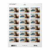 クレタンワイルドキャットオンビーチ ラベル (フルシート)